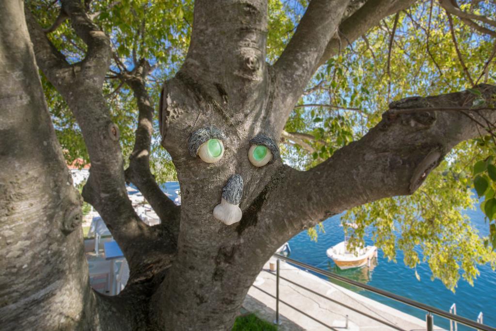 Apartments Duje Ribnica Obrovac Dış mekan fotoğraf